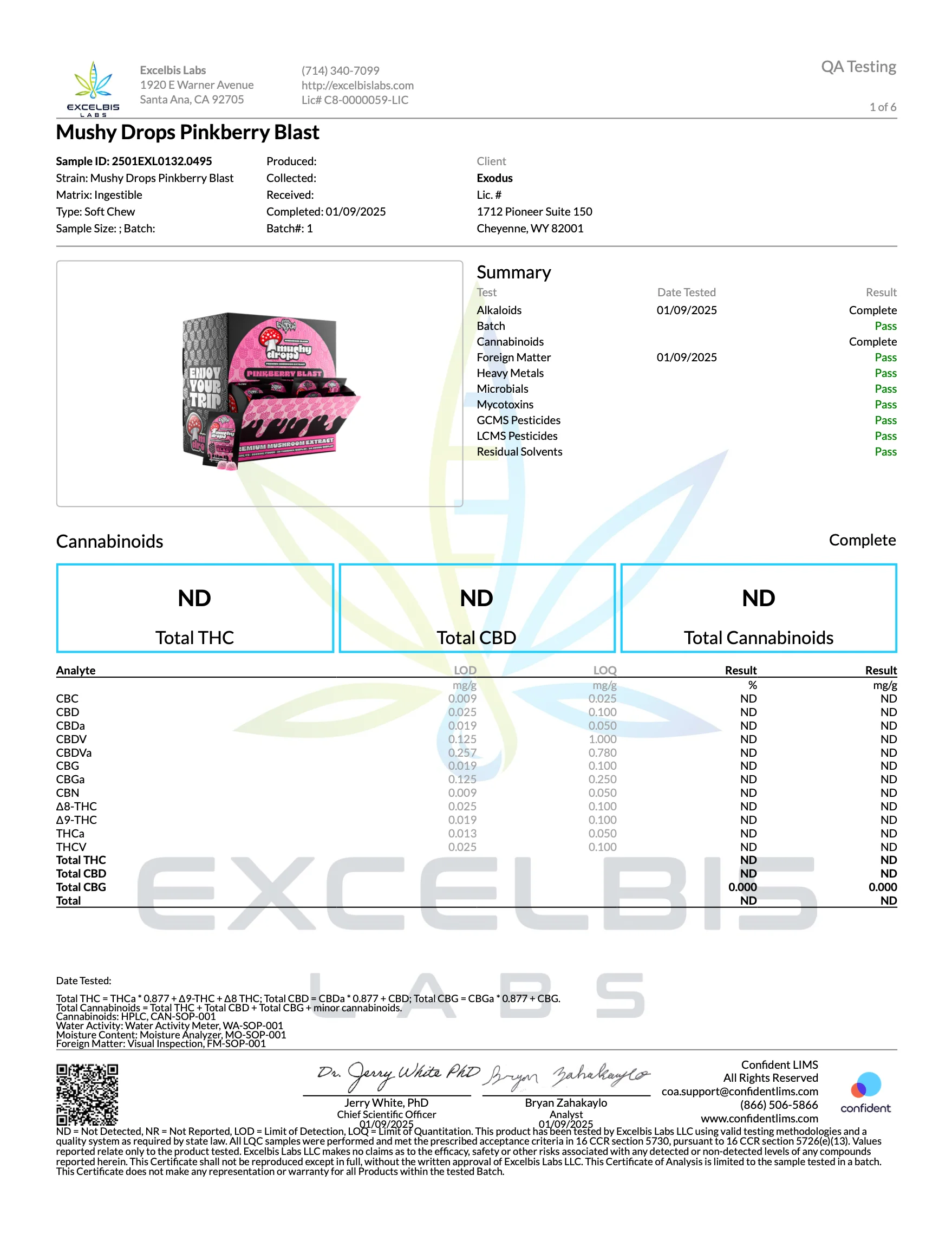 EXODUS: MUSHY DROPS - MUSHROOM GUMMIES - 2CT - Image 6