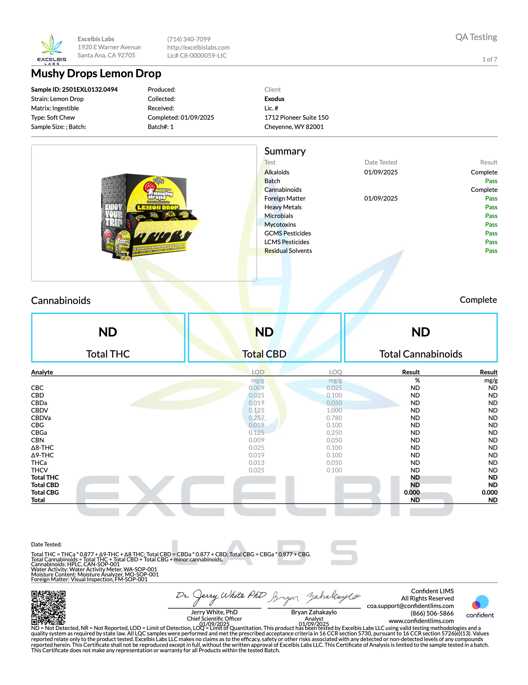 EXODUS: MUSHY DROPS - MUSHROOM GUMMIES - 2CT - Image 7
