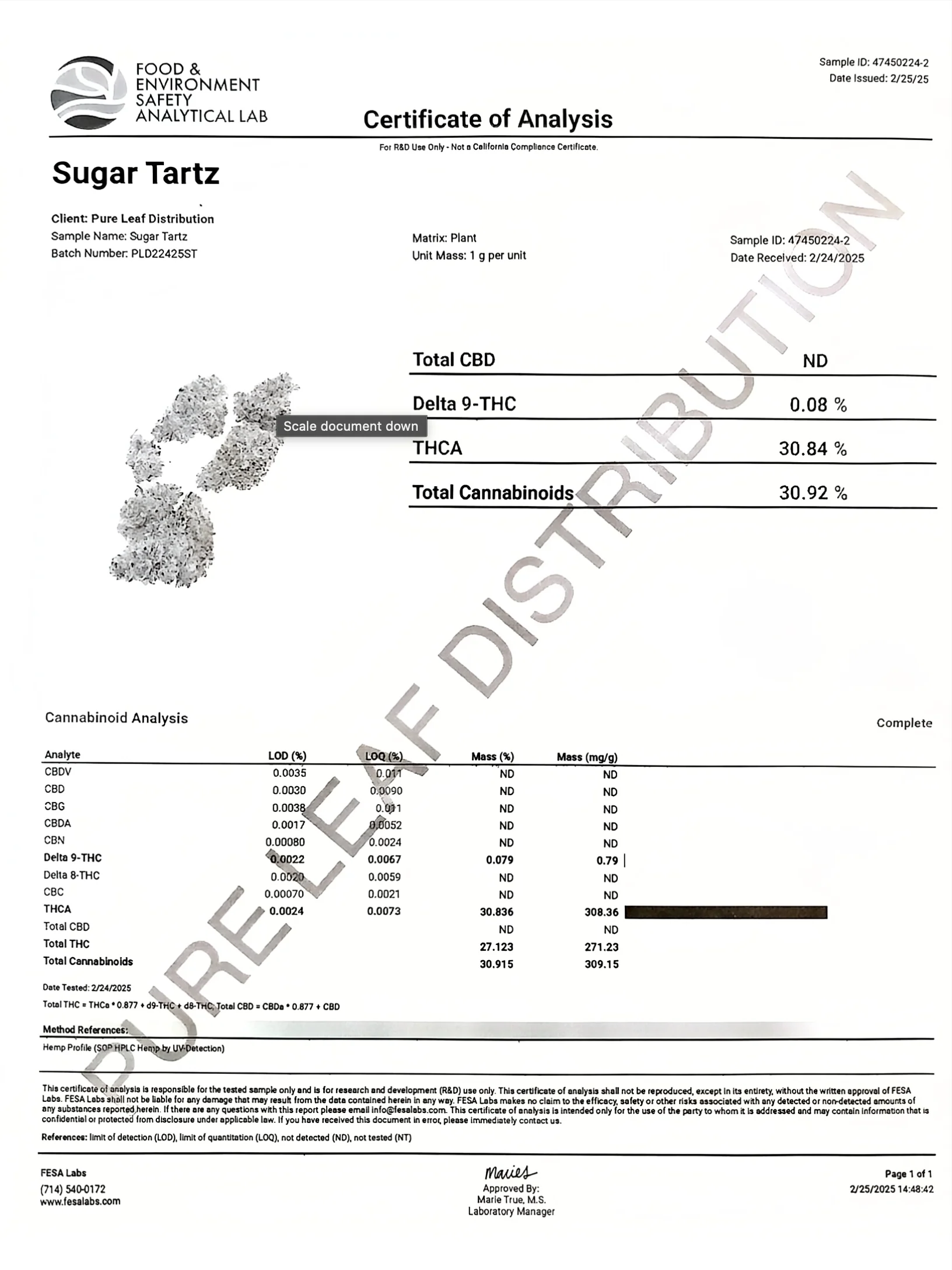 HOUSE THC-A FLOWER - SALE OUNCE (SATIVA/HYBRID/INDICA) - Image 9