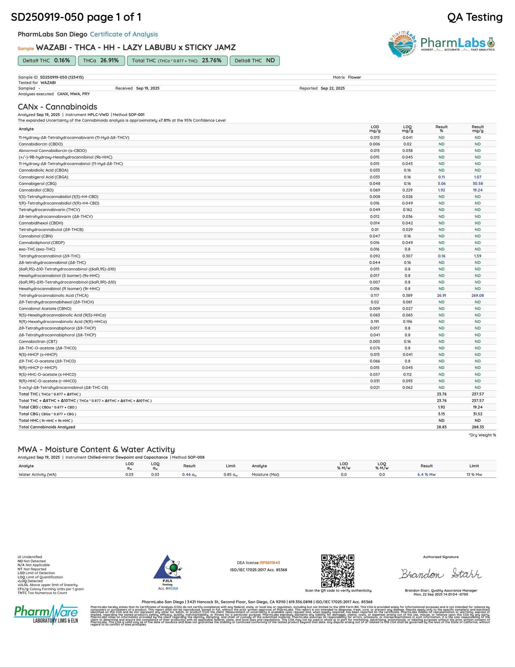 WAZABI: DOUBLE DROP HASH HOLES - 4G - Image 11