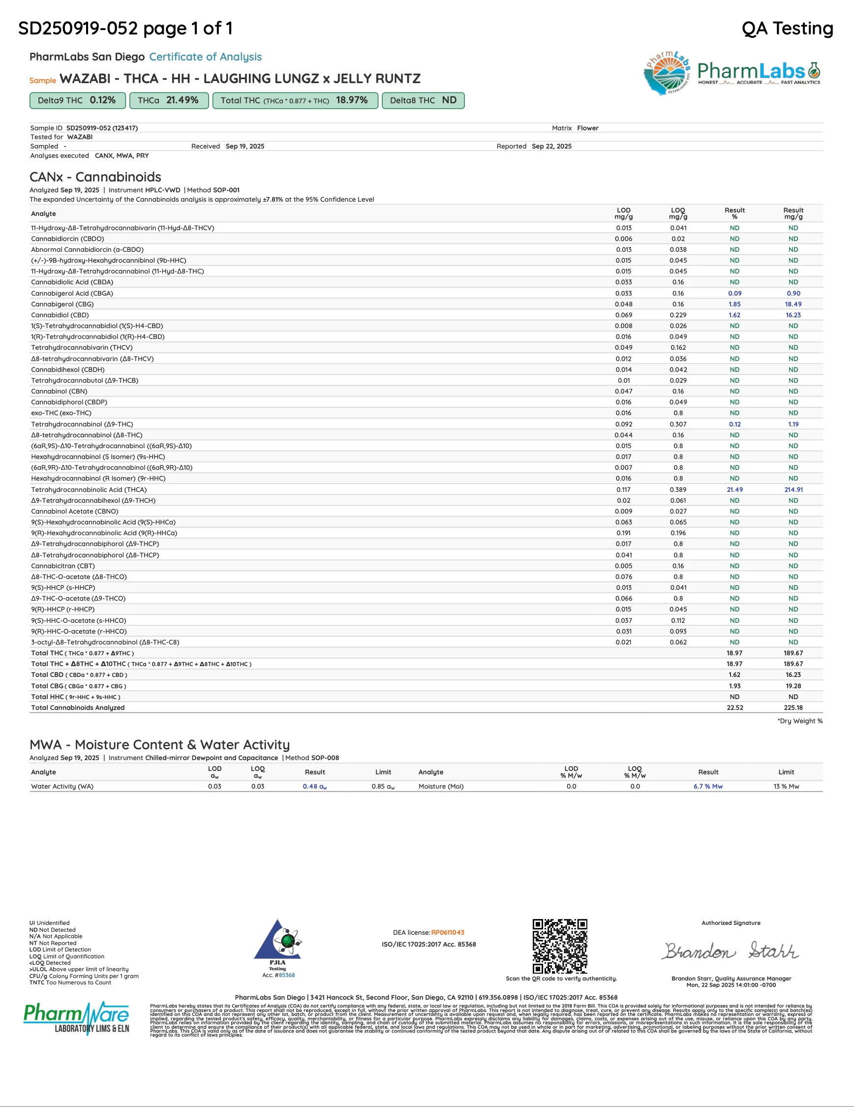 WAZABI: DOUBLE DROP HASH HOLES - 4G - Image 16